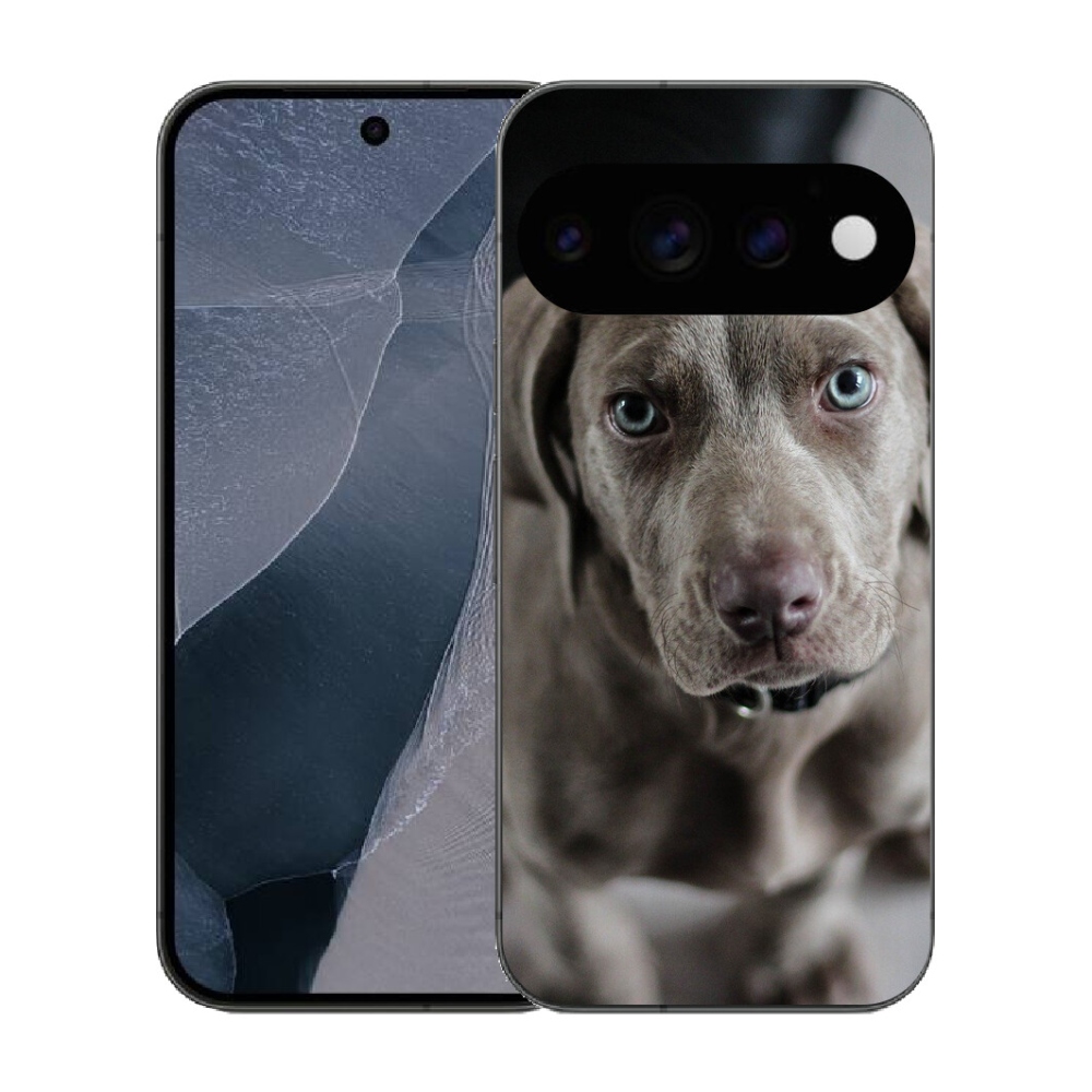 Gélový kryt mmCase na Google Pixel 11 Pro - weimarský stavač