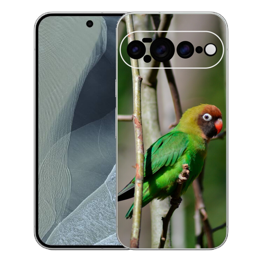 Gélový kryt mmCase na Google Pixel 11 Pro XL - papagáj agapornis