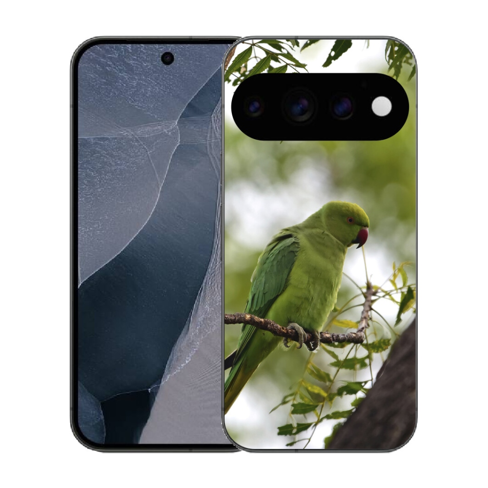 Gélový kryt mmCase na Google Pixel 11 Pro - zelený papagáj
