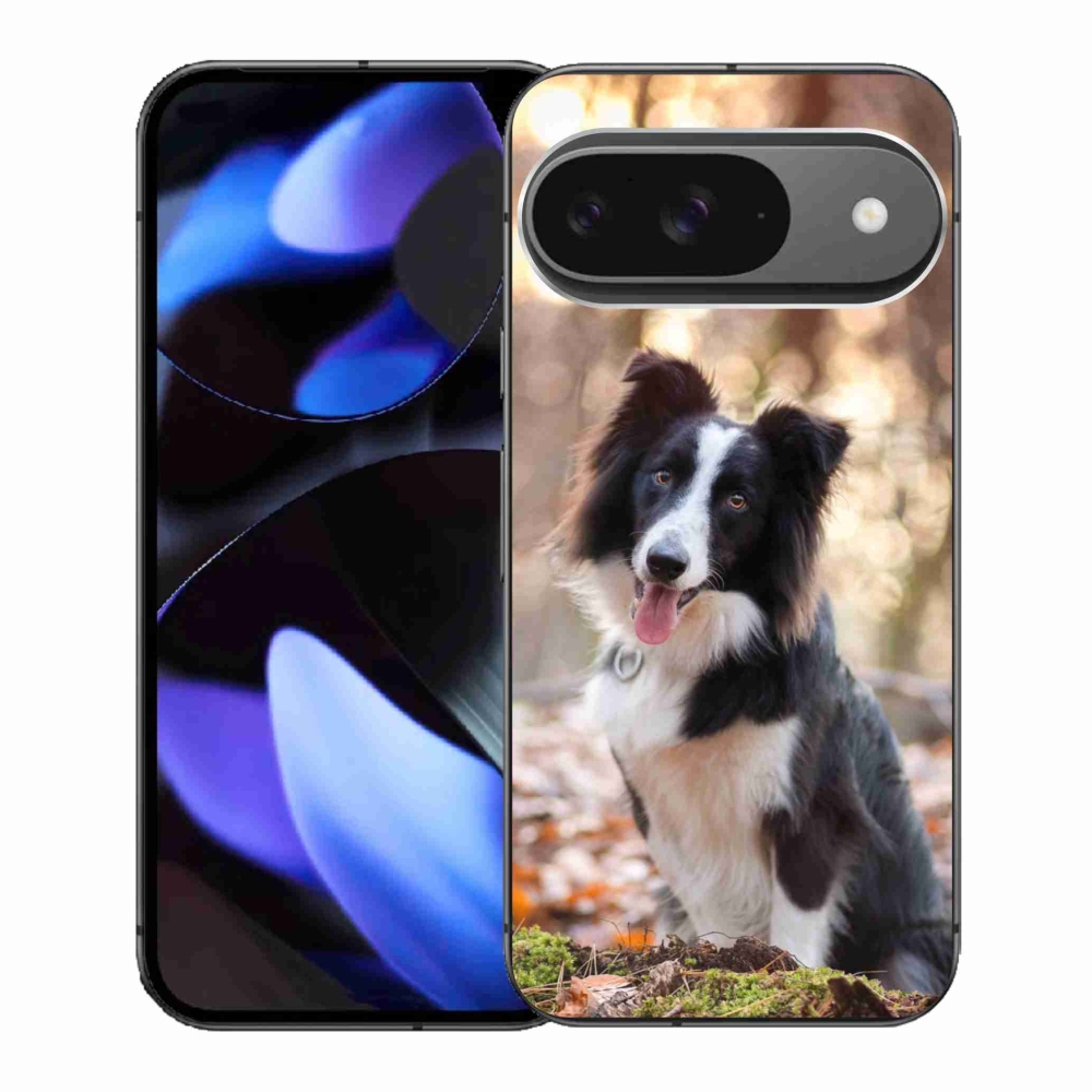 Gélový kryt mmCase na Google Pixel 9 - border kólia 1