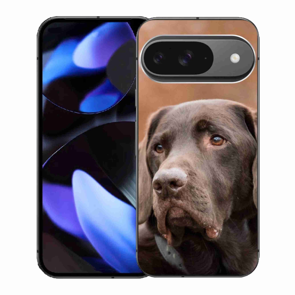 Gélový kryt mmCase na Google Pixel 9 - hnedý labrador