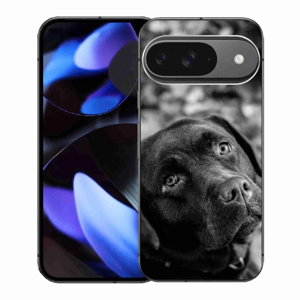 Gélový kryt mmCase na Google Pixel 9 - labrador