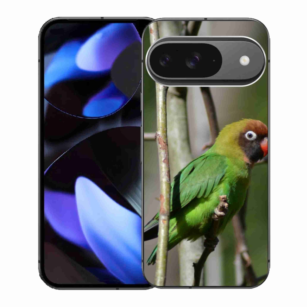 Gélový kryt mmCase na Google Pixel 9 - papagáj agapornis