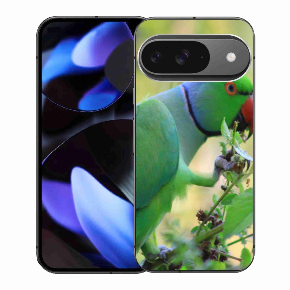 Gélový kryt mmCase na Google Pixel 9 - papagáj Alexandr