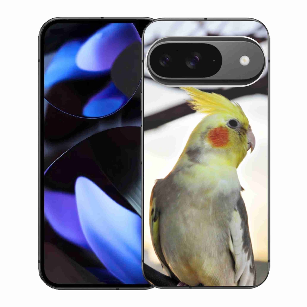 Gélový kryt mmCase na Google Pixel 9 - papagáj korela