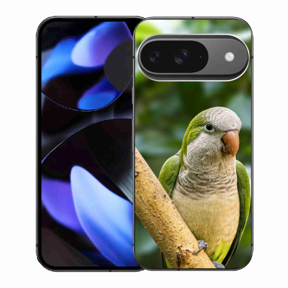 Gélový kryt mmCase na Google Pixel 9 - papagáj mníšok