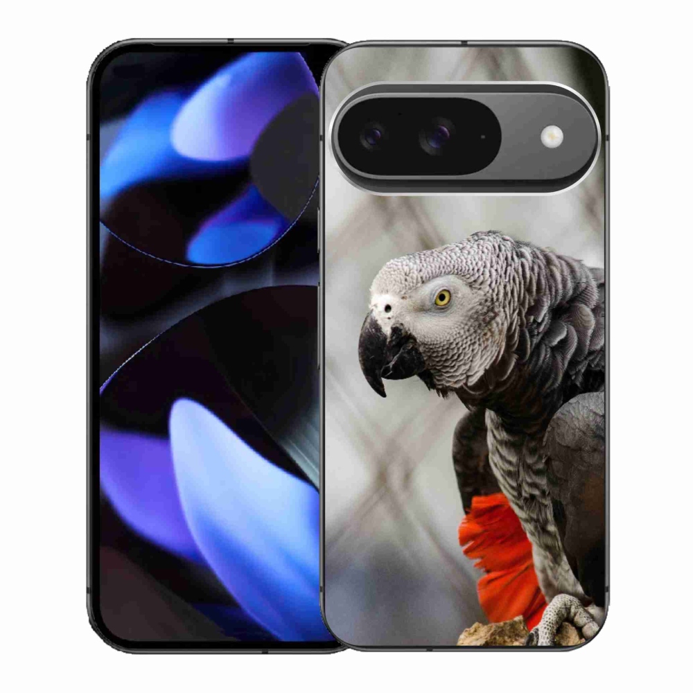 Gélový kryt mmCase na Google Pixel 9 - papagáj žako 3
