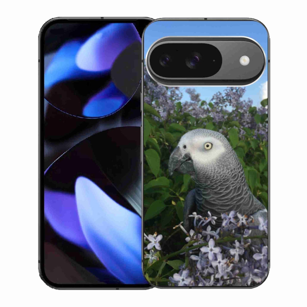 Gélový kryt mmCase na Google Pixel 9 - papagáj žako