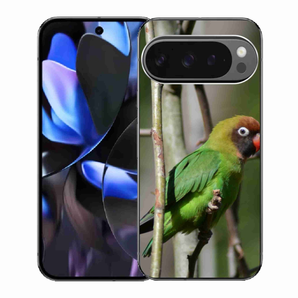 Gélový kryt mmCase na Google Pixel 9 Pro - papagáj agapornis
