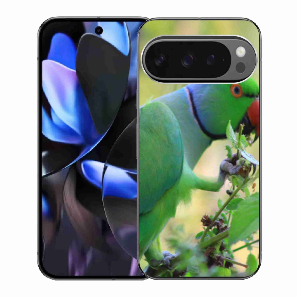Gélový kryt mmCase na Google Pixel 9 Pro - papagáj Alexandr