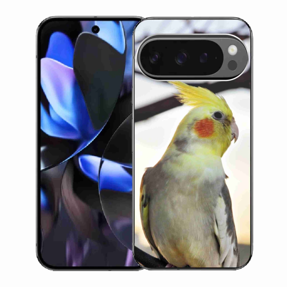 Gélový kryt mmCase na Google Pixel 9 Pro - papagáj korela