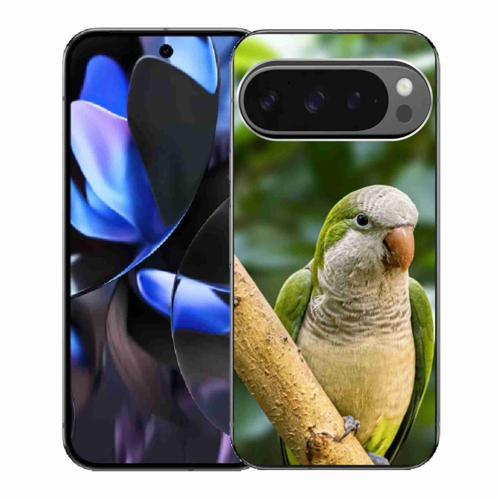Gélový kryt mmCase na Google Pixel 9 Pro - papagáj mníšok