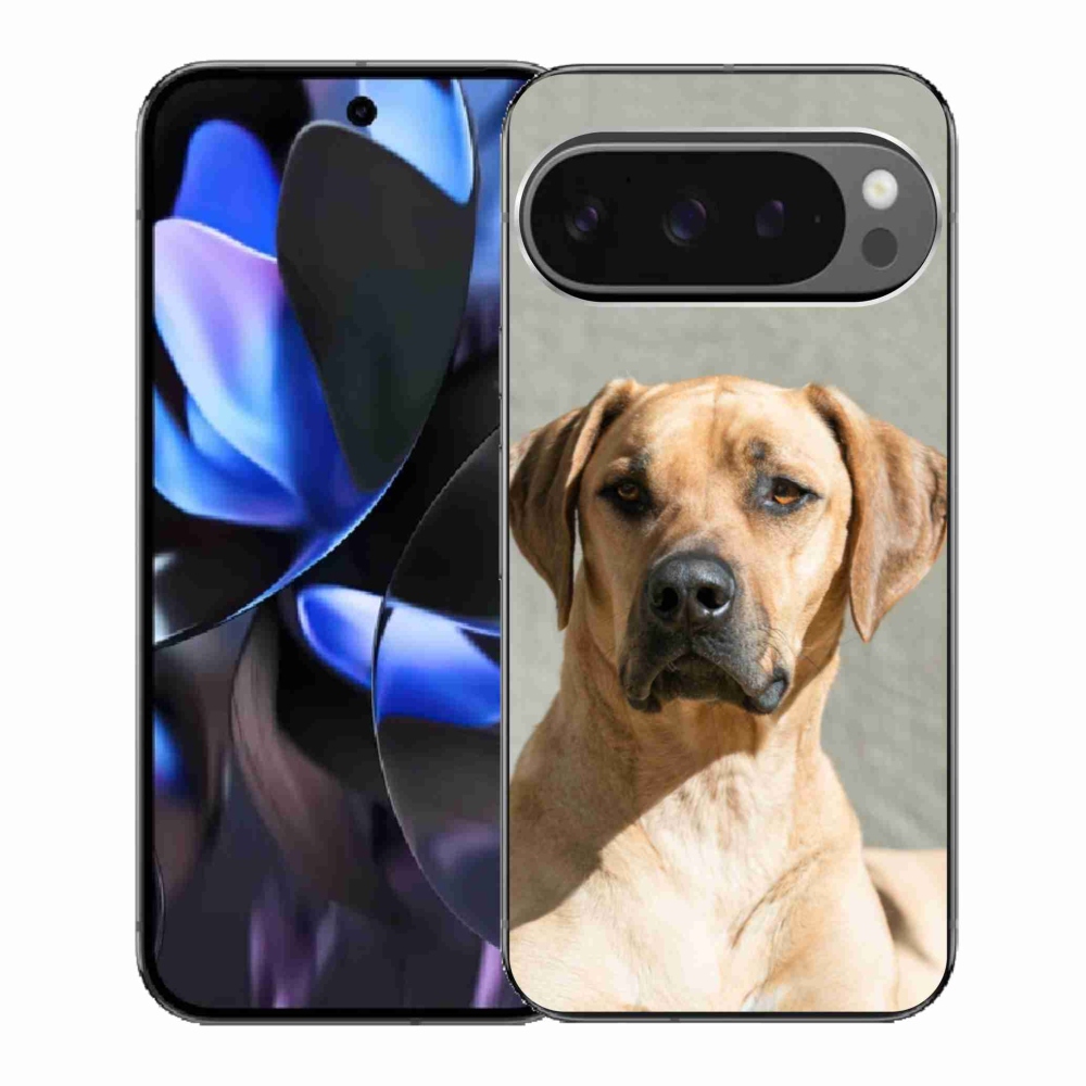 Gélový kryt mmCase na Google Pixel 9 Pro - ridgeback