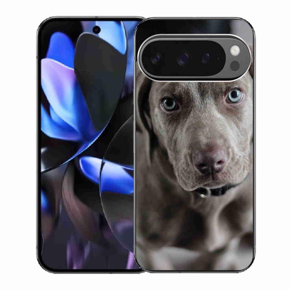 Gélový kryt mmCase na Google Pixel 9 Pro - weimarský stavač