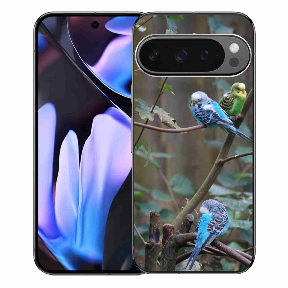 Gélový kryt mmCase na Google Pixel 9 Pro XL - papagáje na vetve