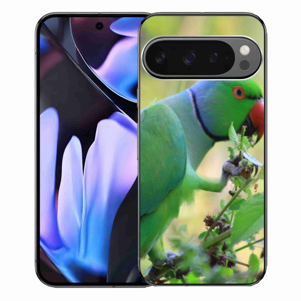 Gélový kryt mmCase na Google Pixel 9 Pro XL - papagáj Alexandr