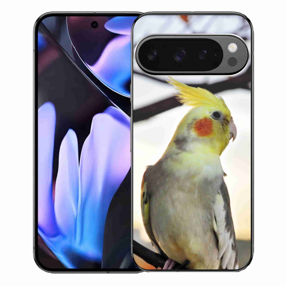 Gélový kryt mmCase na Google Pixel 9 Pro XL - papagáj korela