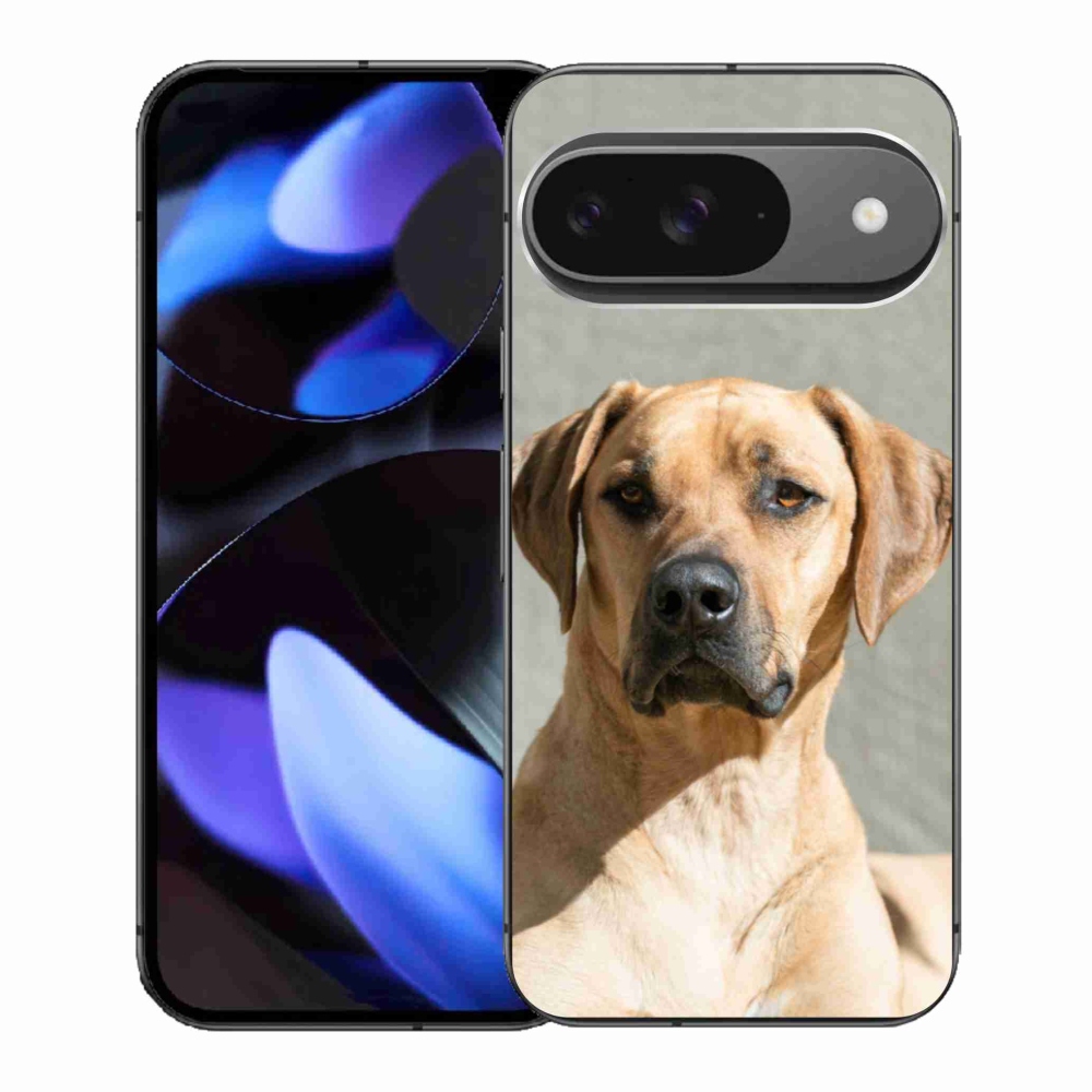 Gélový kryt mmCase na Google Pixel 9 - ridgeback