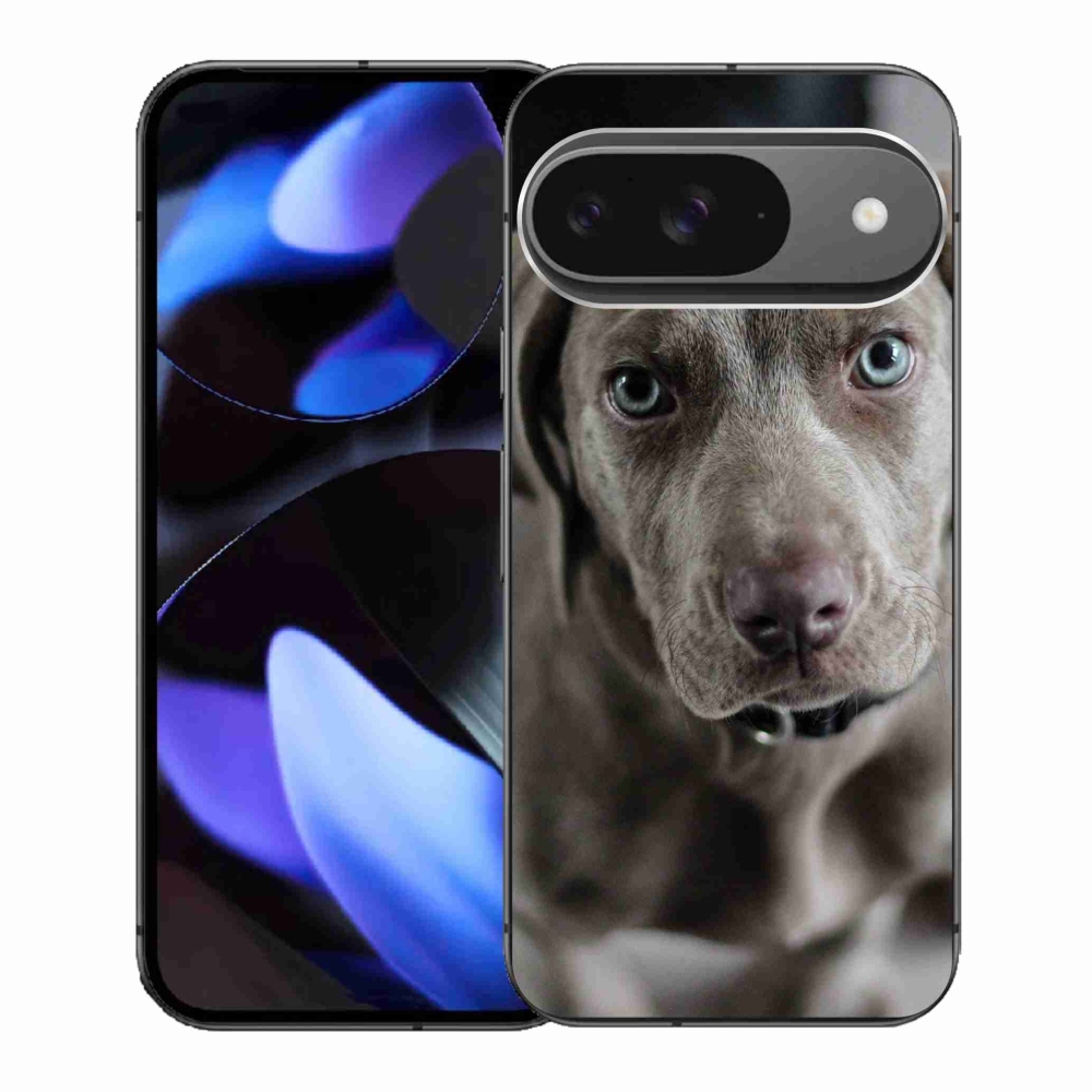 Gélový kryt mmCase na Google Pixel 9 - weimarský stavač