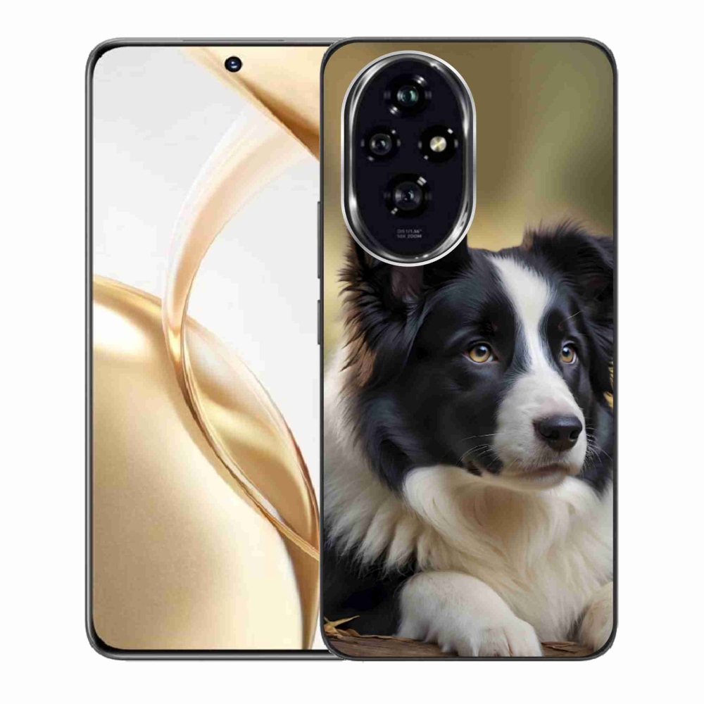 Gélový kryt mmCase na Honor 200 5G - border kólia 2