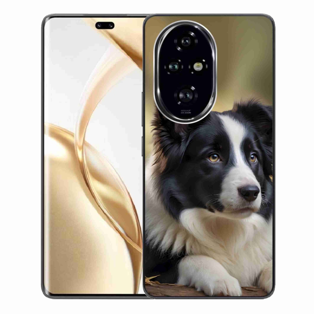 Gélový kryt mmCase na Honor 200 Pre 5G - border kólia 2