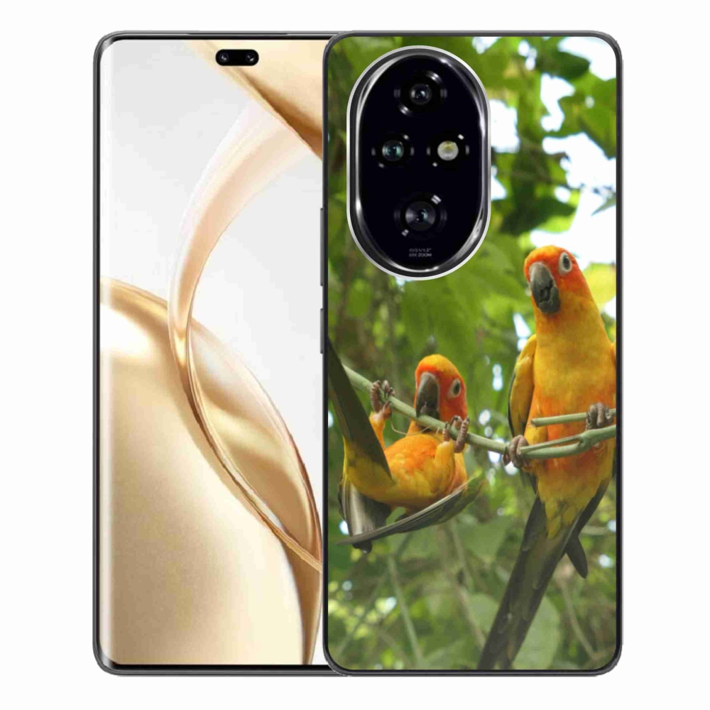 Gélový kryt mmCase na Honor 200 Pre 5G - papagáje aratingy