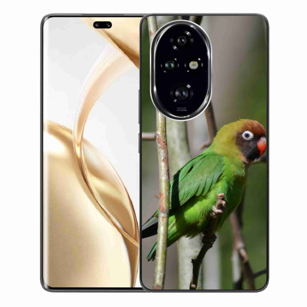 Gélový kryt mmCase na Honor 200 Pre 5G - papagáj agapornis
