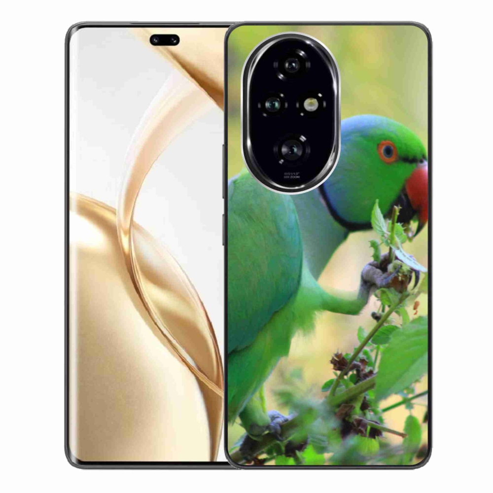 Gélový kryt mmCase na Honor 200 Pre 5G - papagáj alender