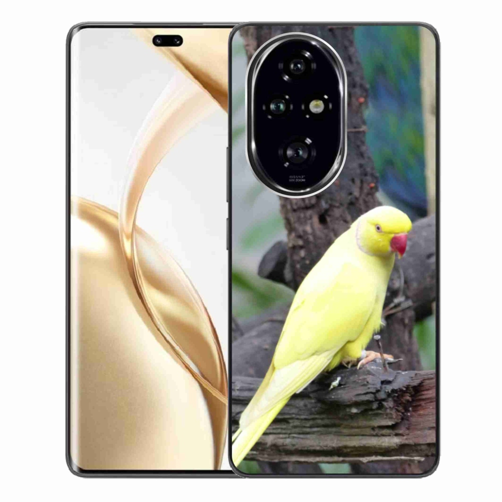 Gélový kryt mmCase na Honor 200 Pre 5G - papagáj alexander žltý