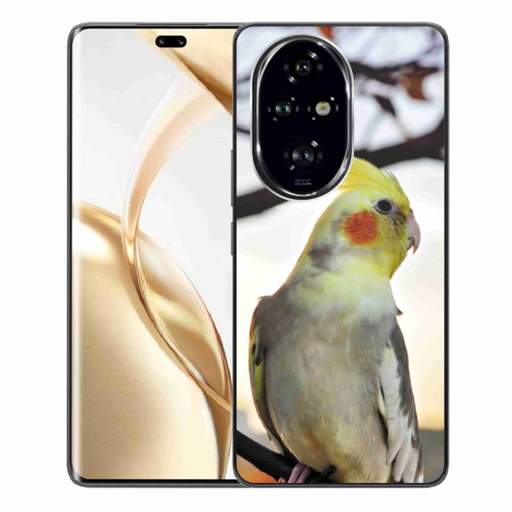 Gélový kryt mmCase na Honor 200 Pre 5G - papagáj korela