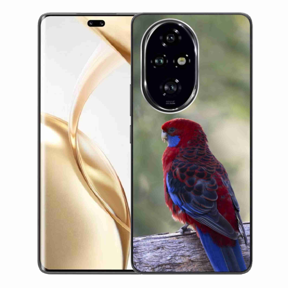 Gélový kryt mmCase na Honor 200 Pre 5G - papagáj rosela