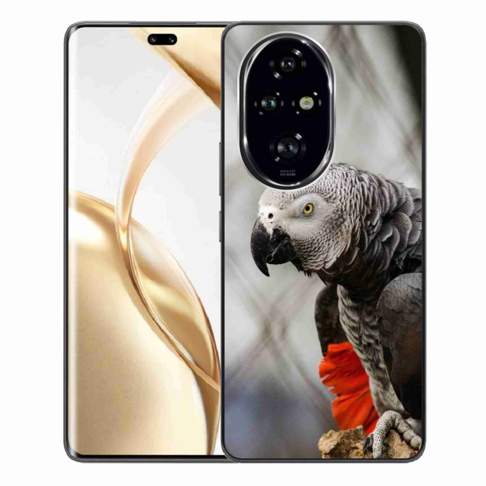 Gélový kryt mmCase na Honor 200 Pre 5G - papagáj žako 3