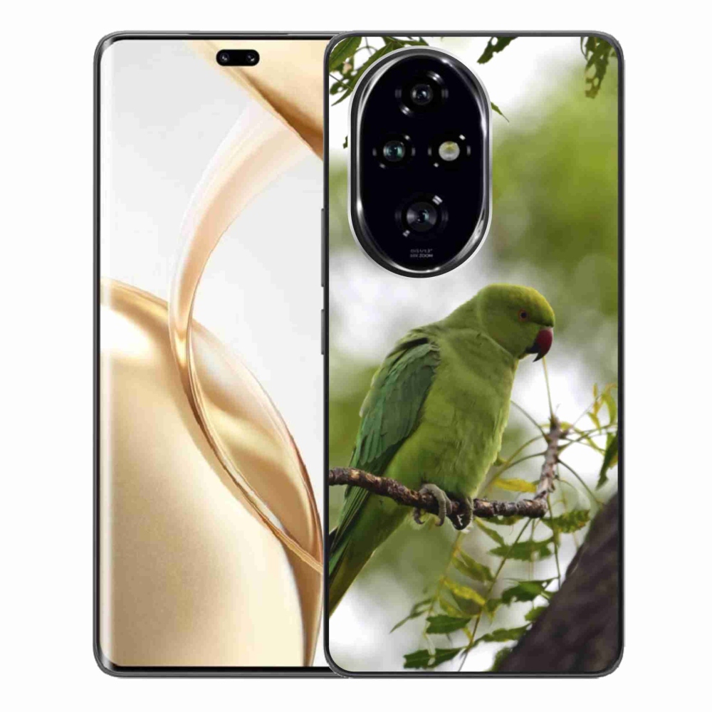 Gélový kryt mmCase na Honor 200 Pre 5G - zelený papagáj