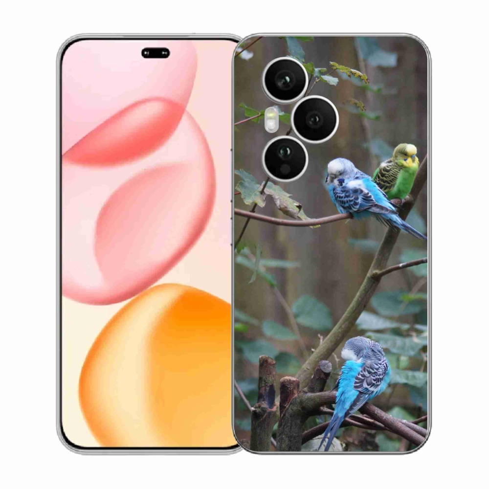 Gélový kryt mmCase na Honor 400 Pro - papagáje na vetve