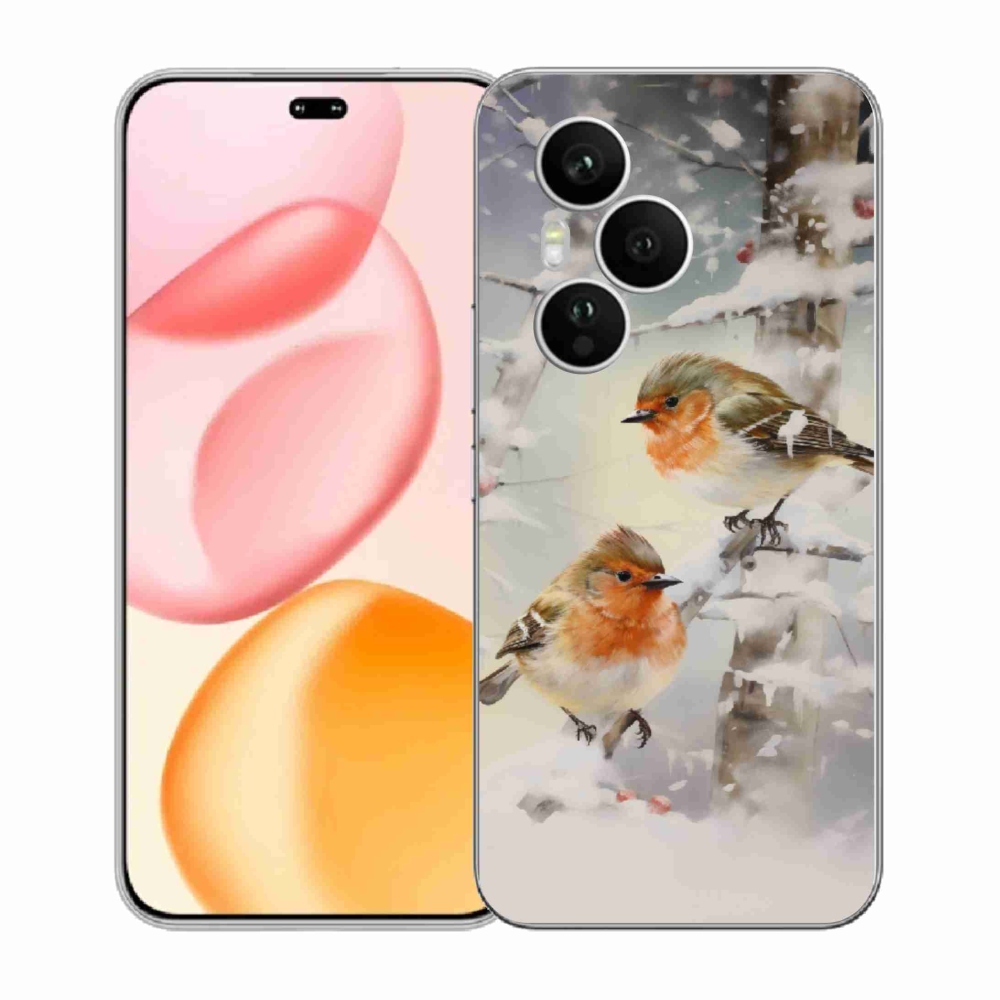 Gélový kryt mmCase na Honor 400 Pro - vtáčiky v zime
