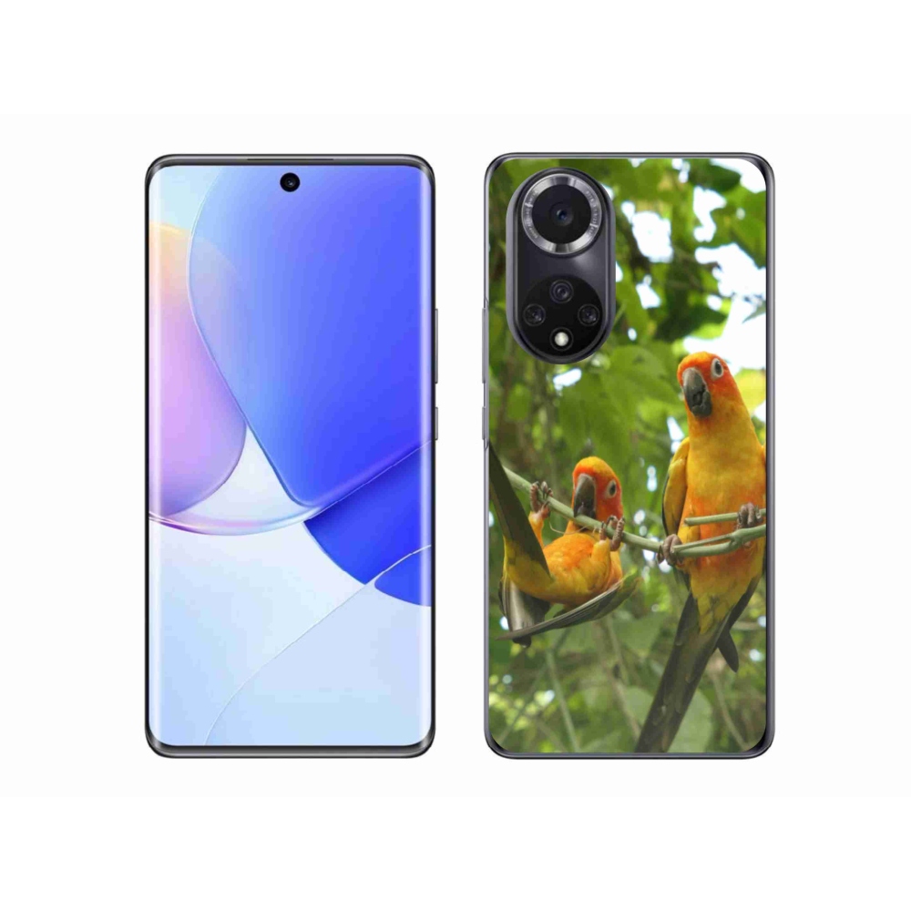 Gélový kryt mmCase na Honor 50 - papagáje aratingy