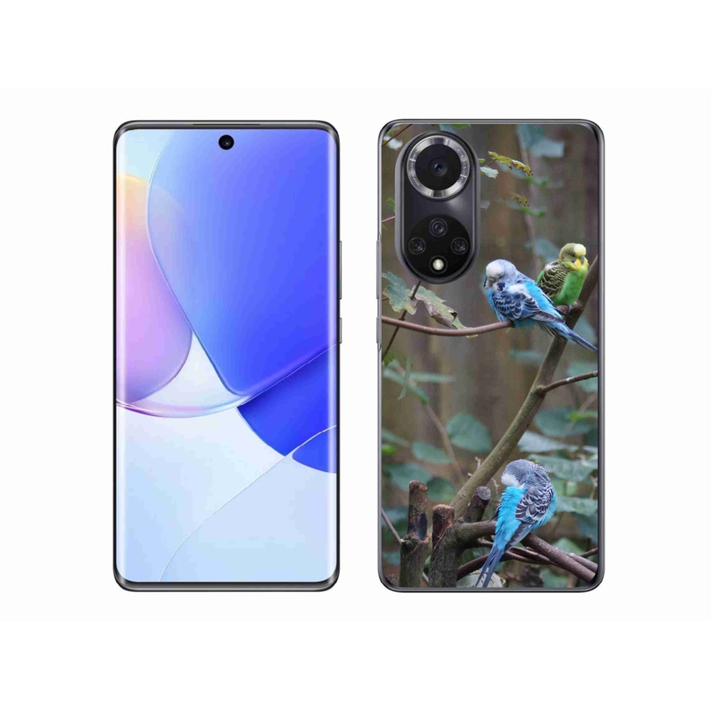 Gélový kryt mmCase na Honor 50 - papagáje na vetve