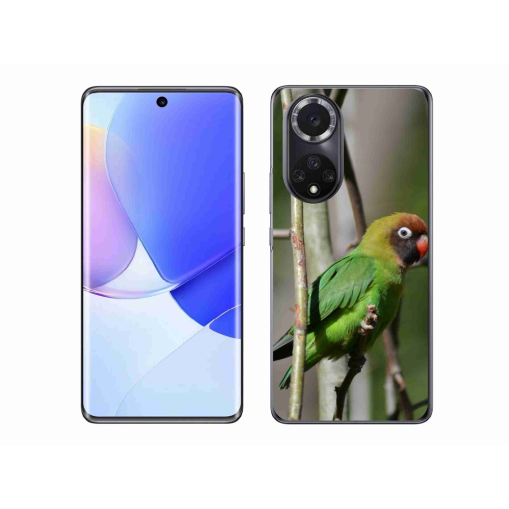 Gélový kryt mmCase na Honor 50 - papagáj agapornis