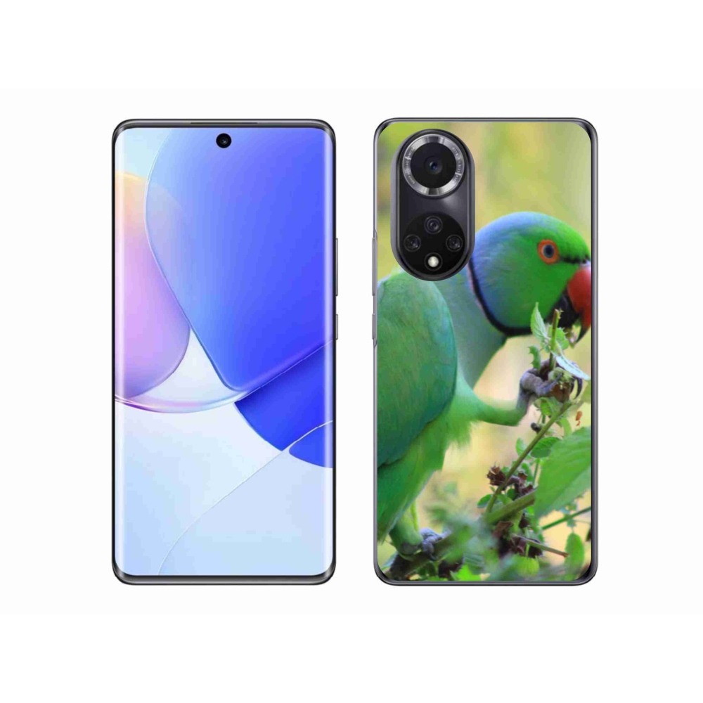 Gélový kryt mmCase na Honor 50 - papagáj alender