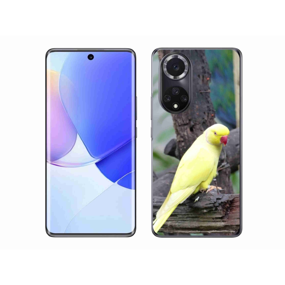 Gélový kryt mmCase na Honor 50 - papagáj alexander žltý