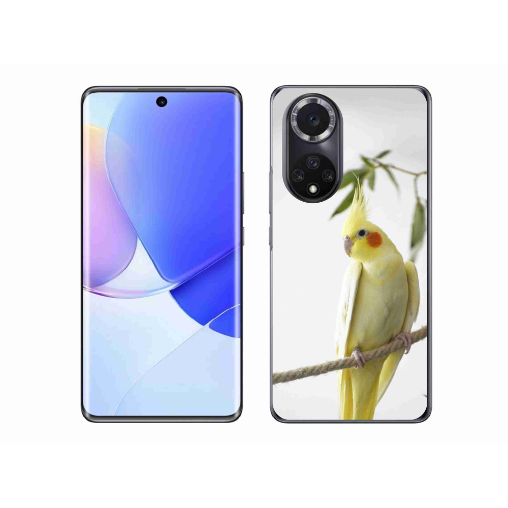 Gélový kryt mmCase na Honor 50 - papagáj korela chocholatá