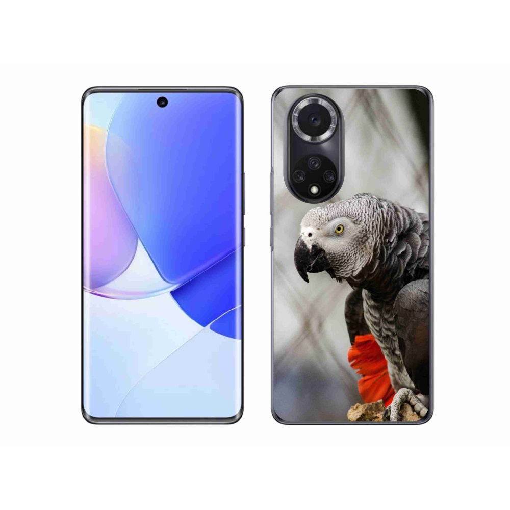 Gélový kryt mmCase na Honor 50 - papagáj žako 3
