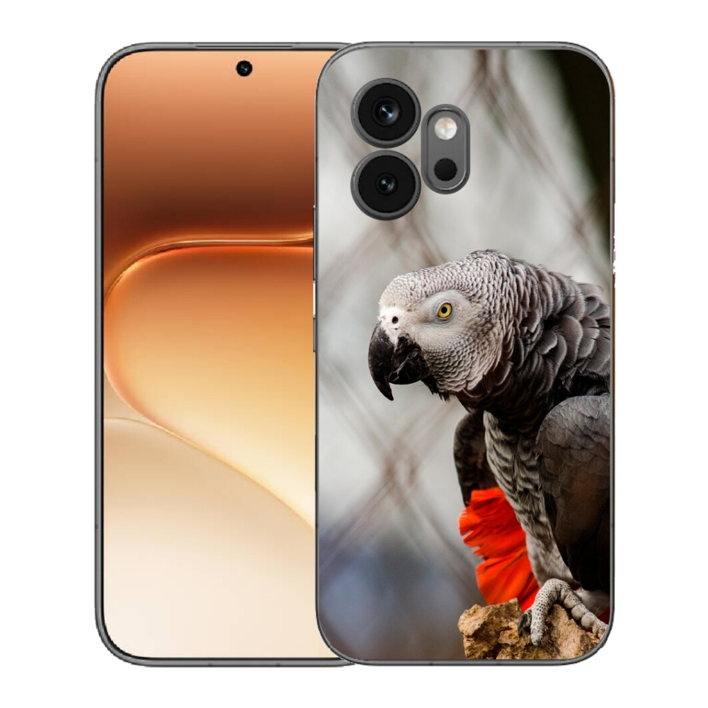 Gélový kryt mmCase na Honor 600 - papagáj žako 3