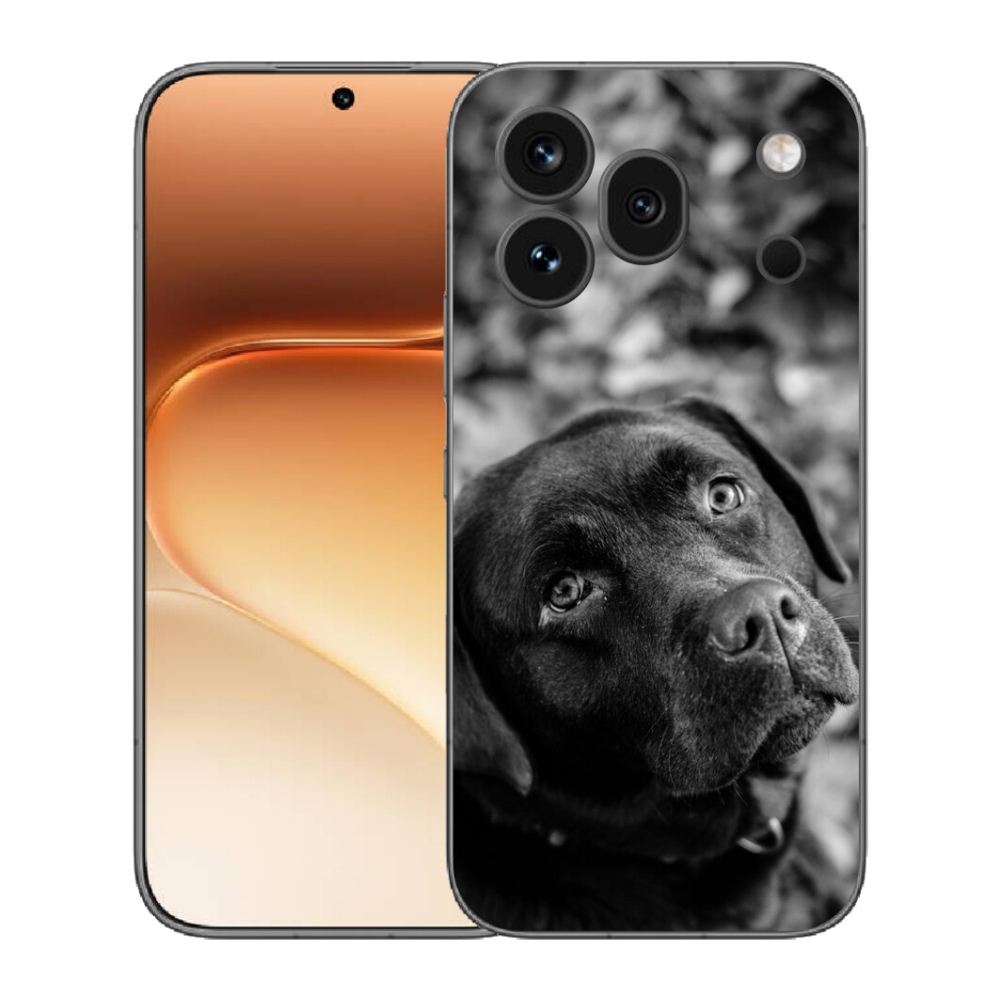 Gélový kryt mmCase na Honor 600 Pro - labrador