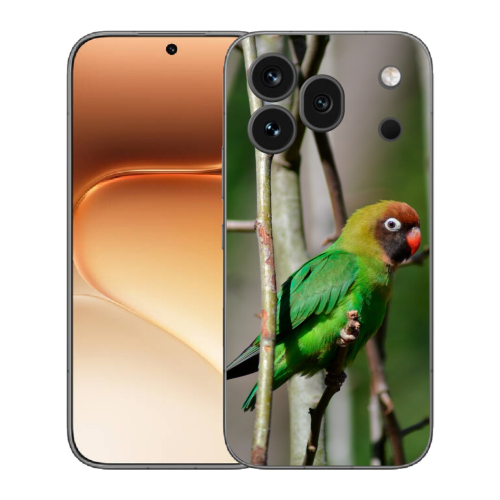 Gélový kryt mmCase na Honor 600 Pro - papagáj agapornis