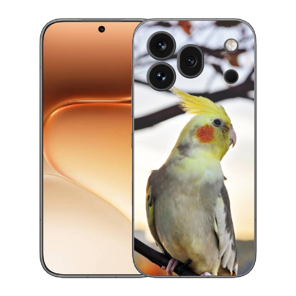 Gélový kryt mmCase na Honor 600 Pro - papagáj korela