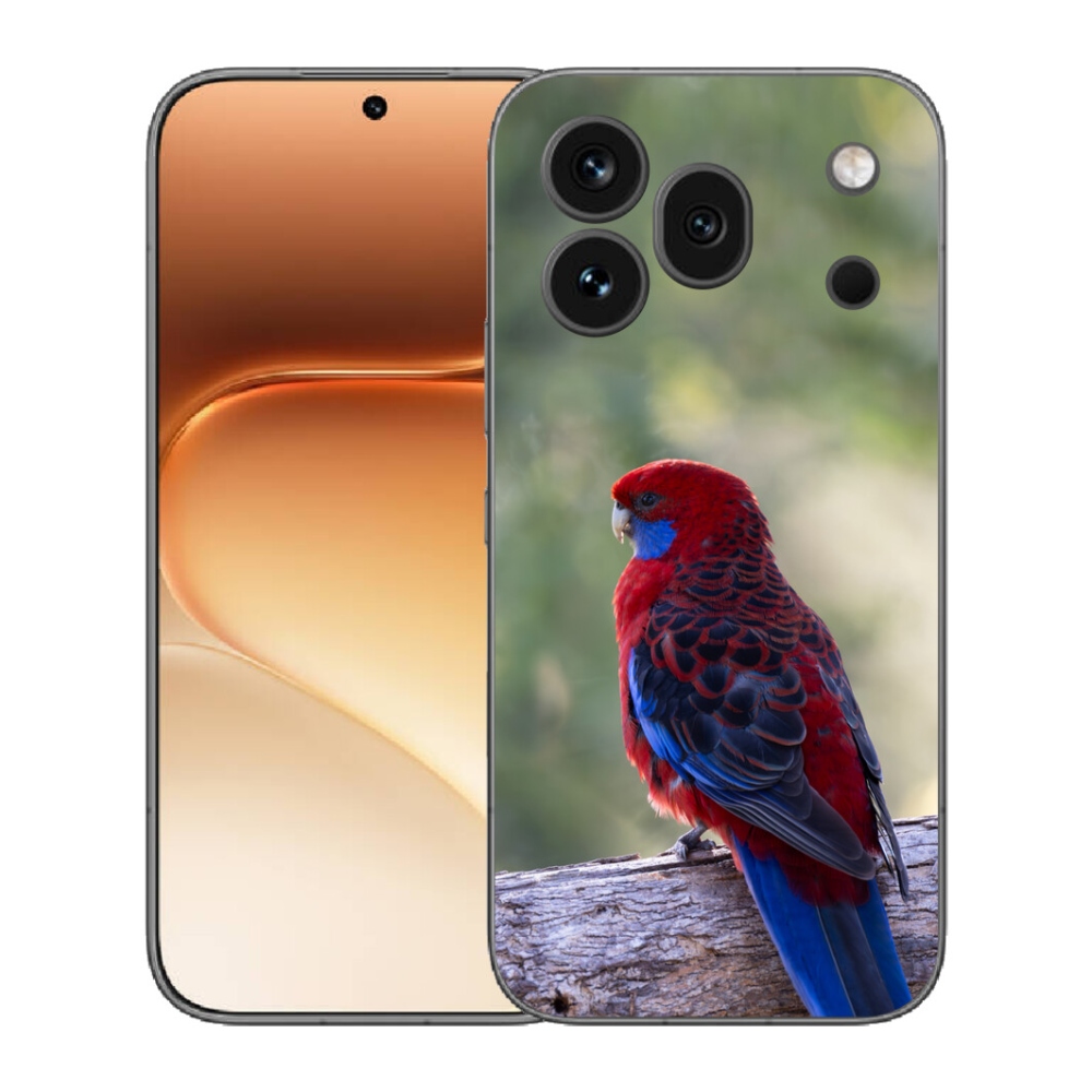 Gélový kryt mmCase na Honor 600 Pro - papagáj rosela