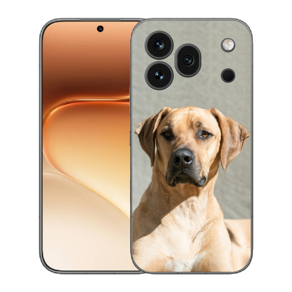 Gélový kryt mmCase na Honor 600 Pro - ridgeback