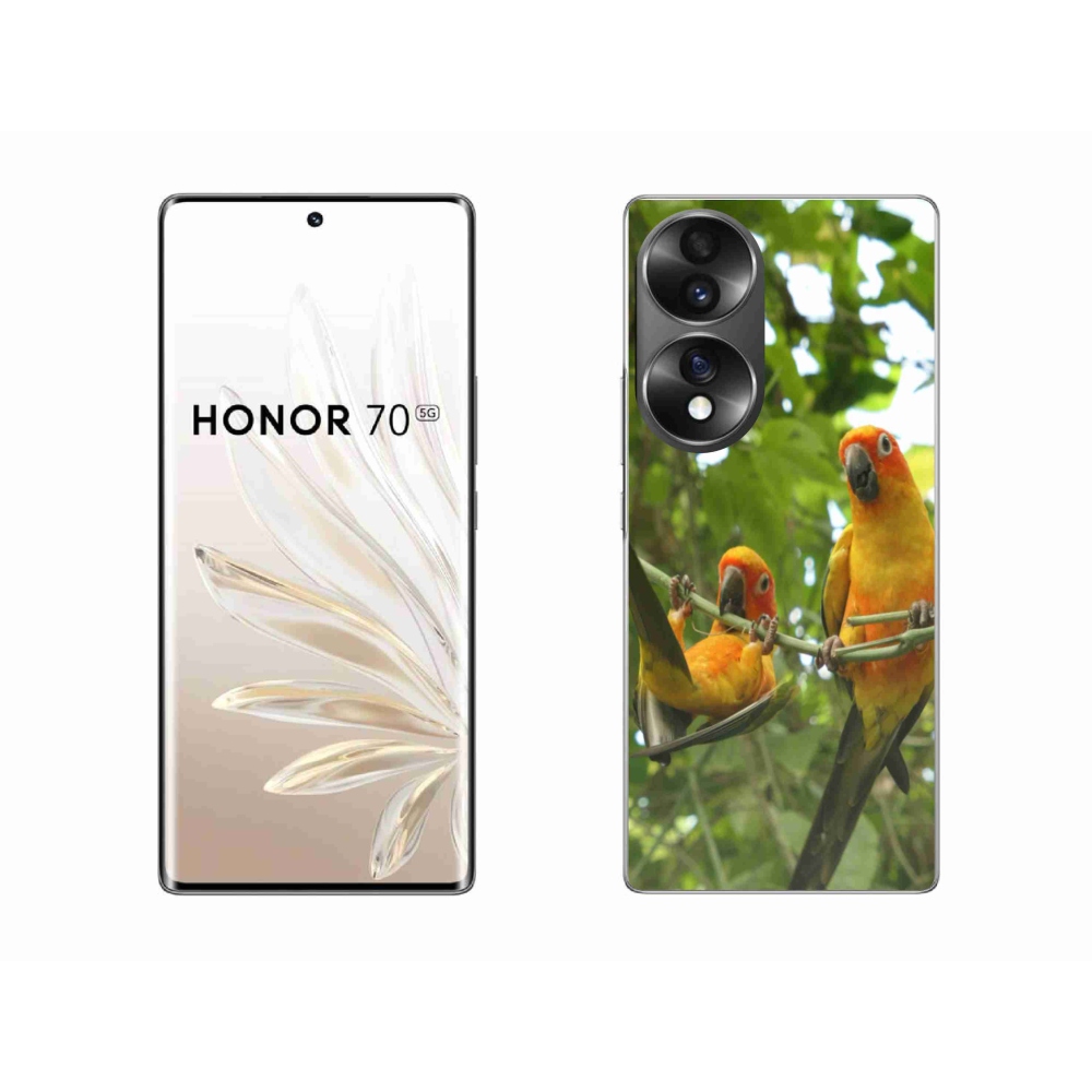 Gélový kryt mmCase na Honor 70 - papagáje aratingy