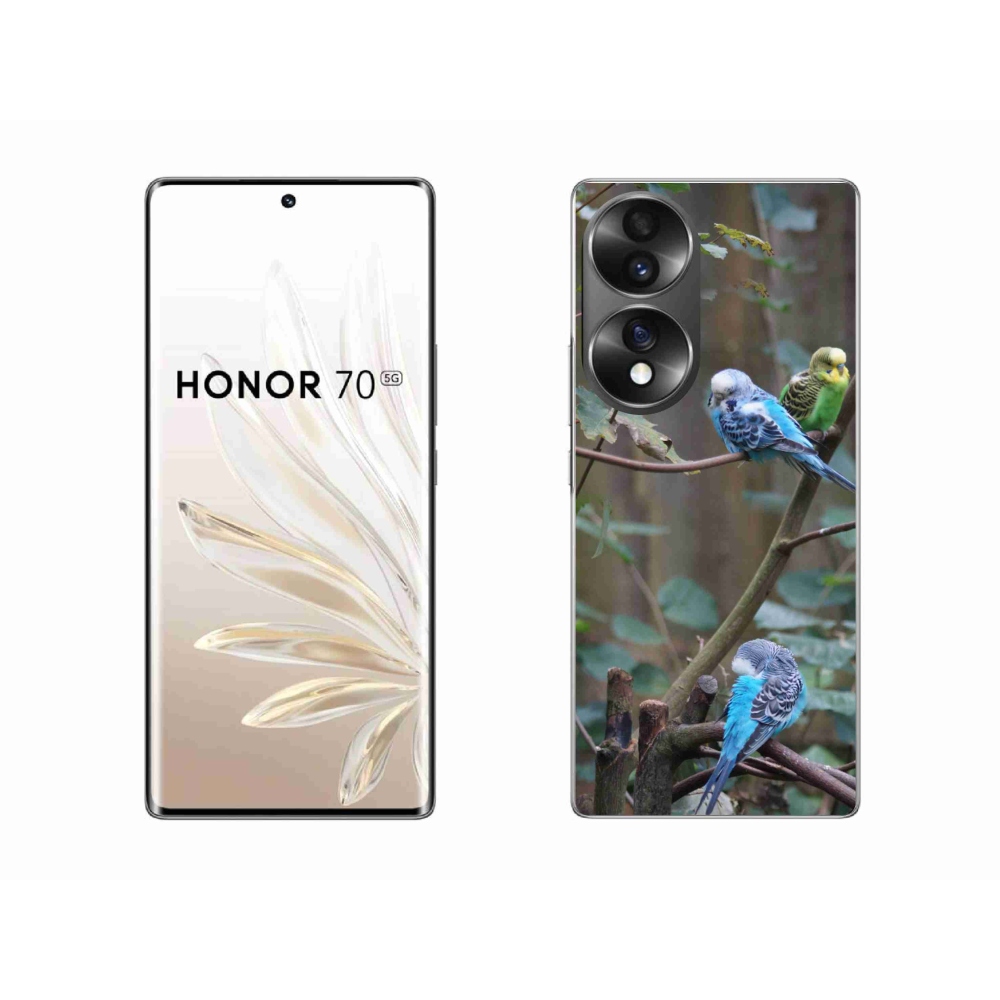 Gélový kryt mmCase na Honor 70 - papagáje na vetve